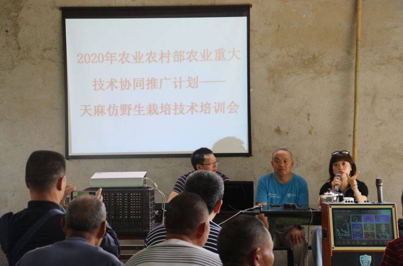 天麻种植技术大全