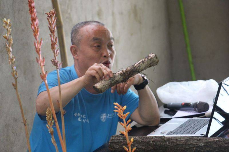 天麻种植技术大全