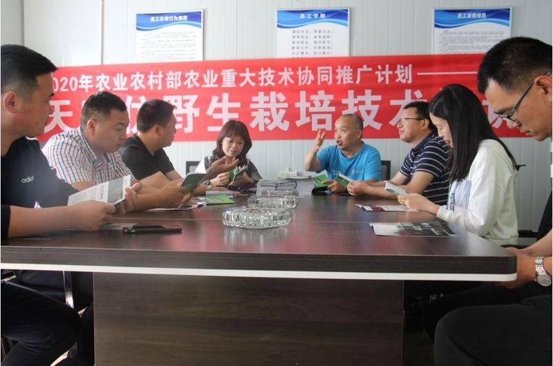 天麻种植技术大全