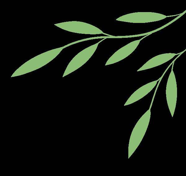 Preserve seo education training