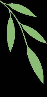 Preserve seo education training