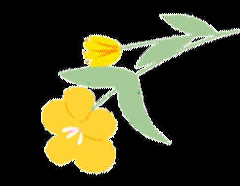 Preserve seo education training