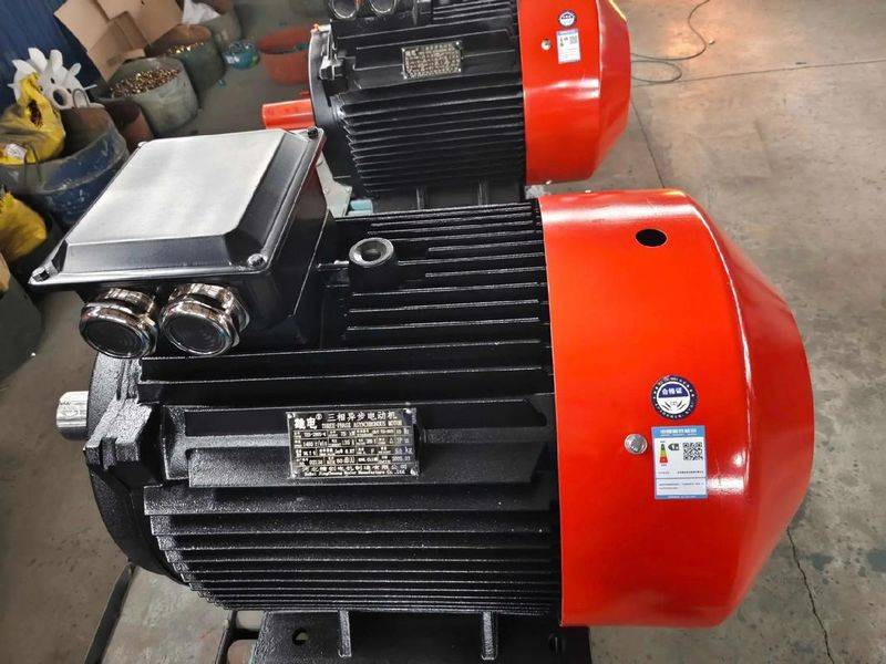 Small power walk motor maintenance technology