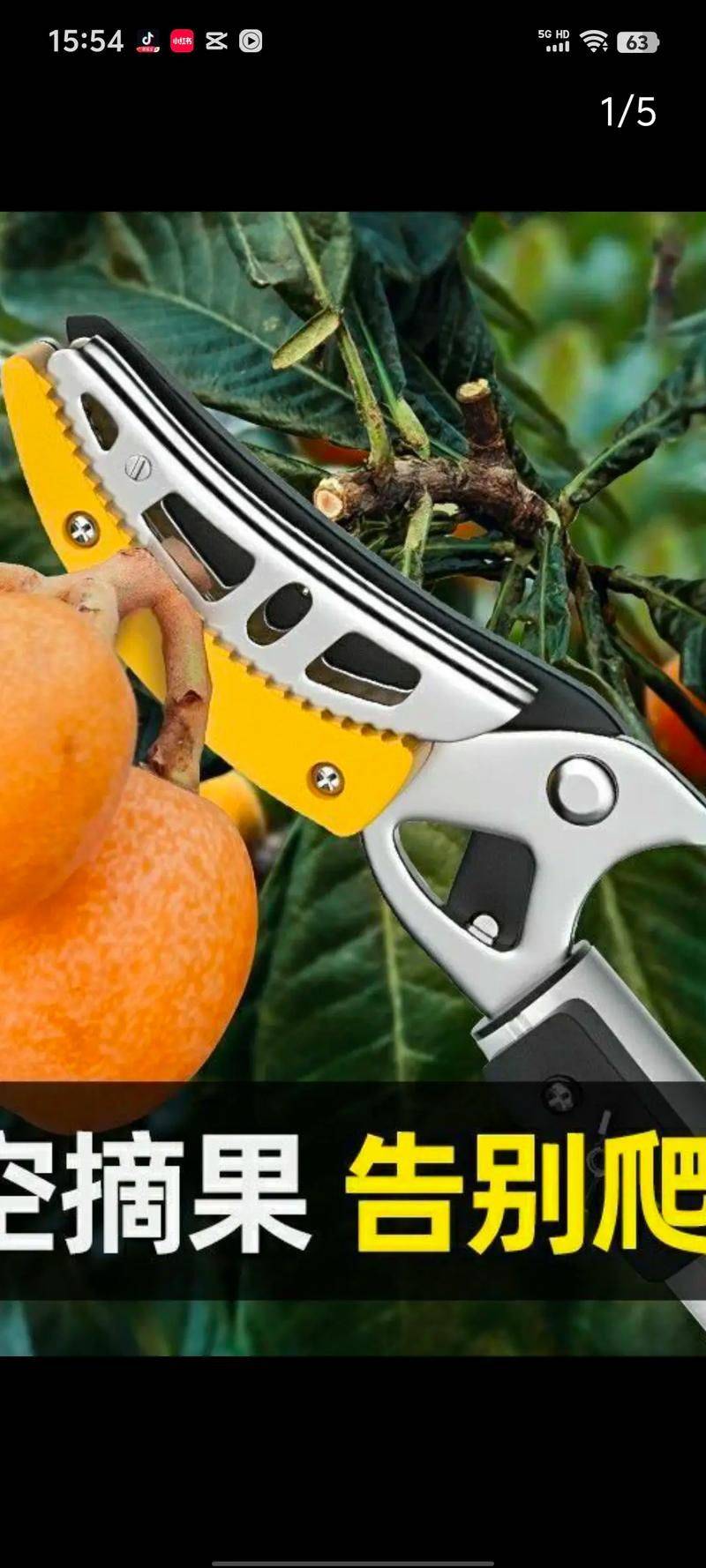 特种种植新品种水果