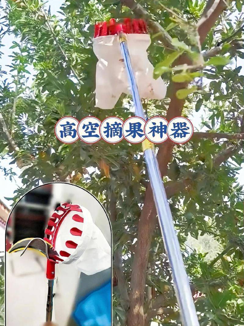 特种种植新品种水果