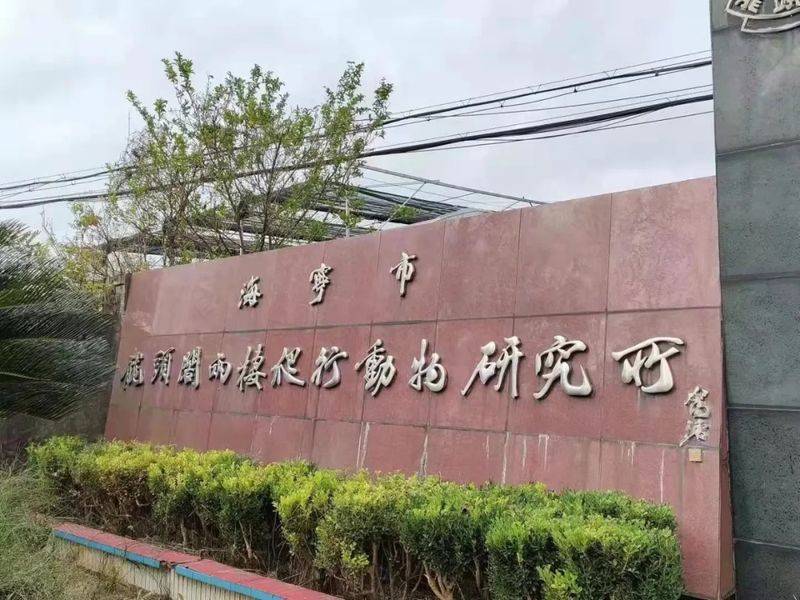 The price of the coat