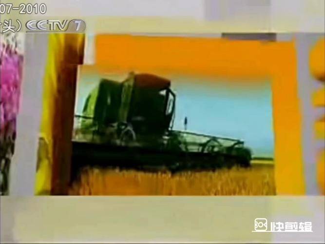 兔眼蓝莓种植技术