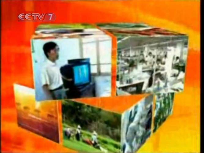 兔眼蓝莓种植技术