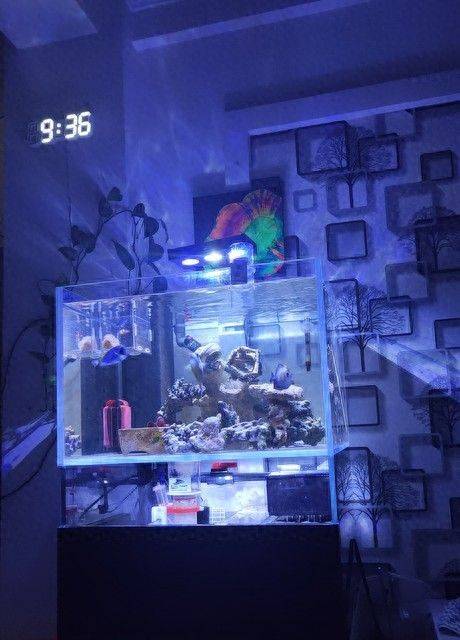 Fish farming knowledge