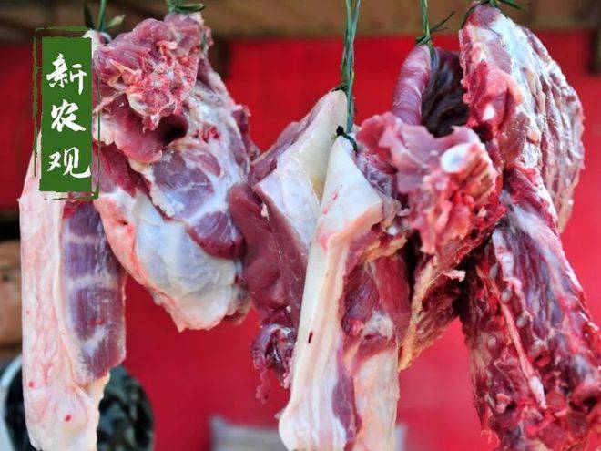 好事!肉蛋菜齐跌:猪肉“腰斩”,蛋价低谷,菜价大落,赶紧看看