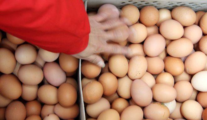 菜价查询最新肉类价格