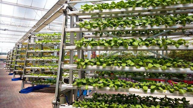 生活中关于安全的常识