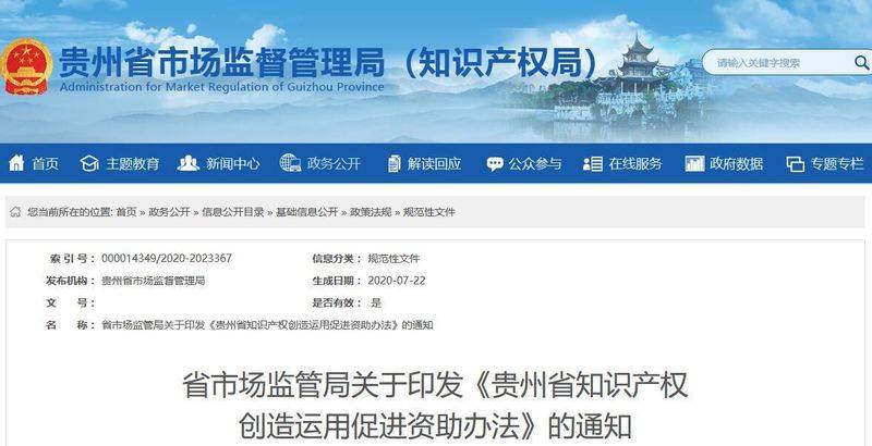 关于贯彻落实国家知识产权战略纲要