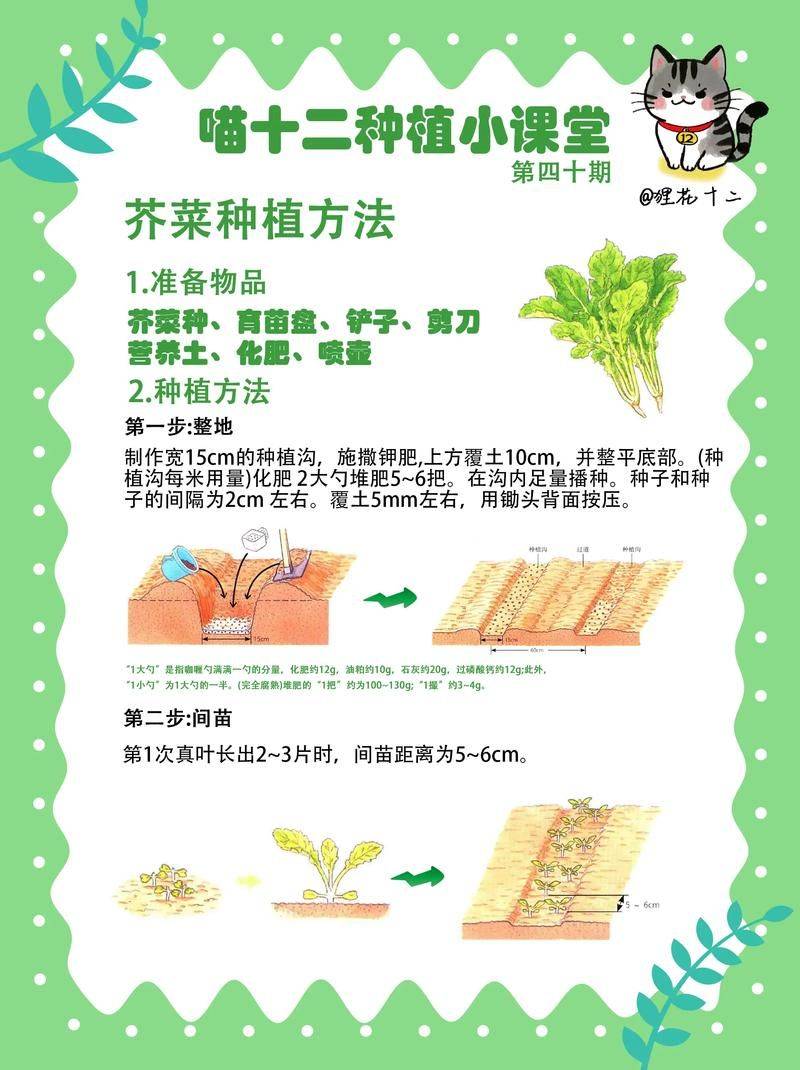 蔬菜 瓜果种植技术