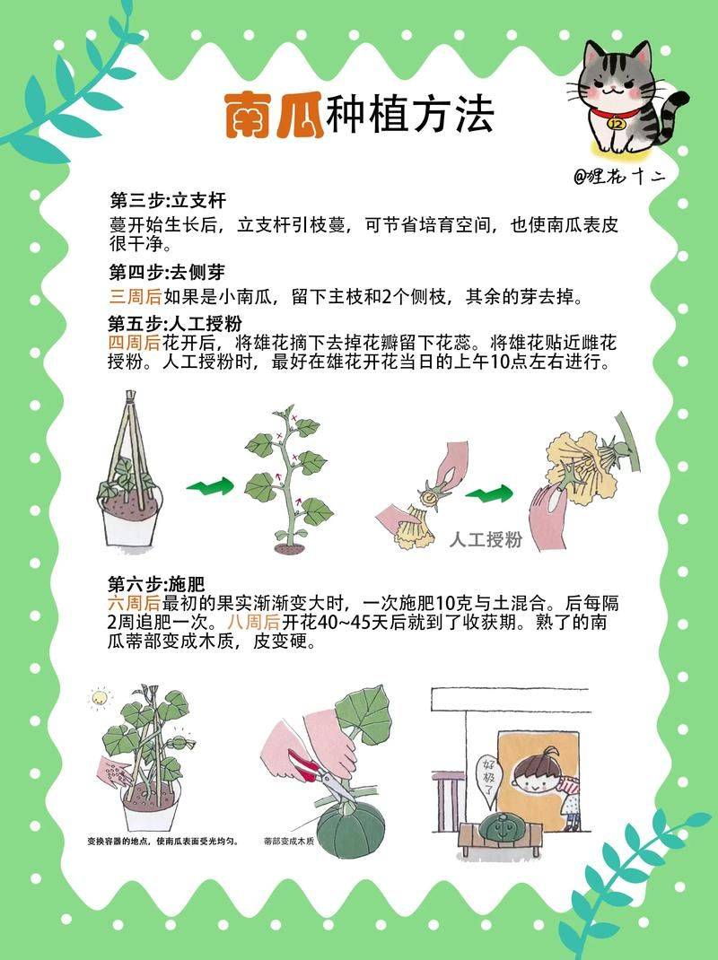 蔬菜 瓜果种植技术