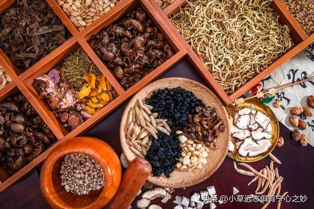 八珍汤的熬制方法