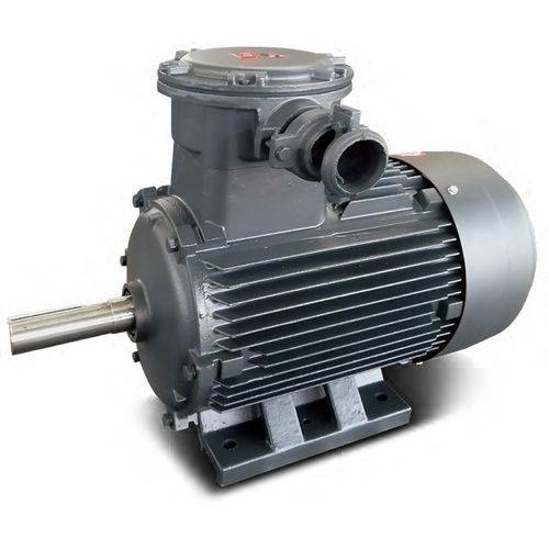 Small power walk motor maintenance technology