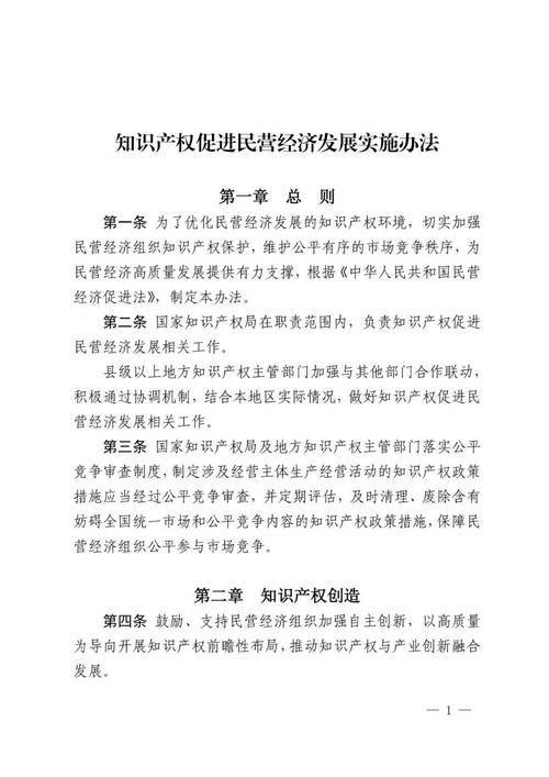 Implementation of the national intellectual property strategy yes