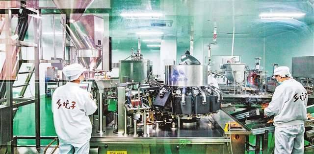 香菇怎么种植技术