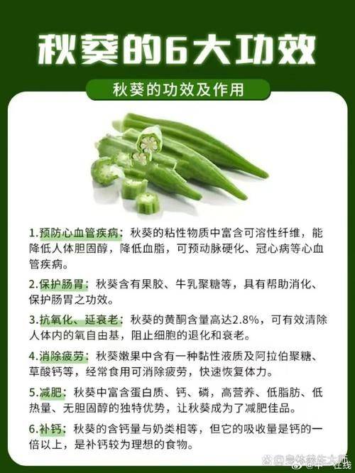 秋葵的种植方法