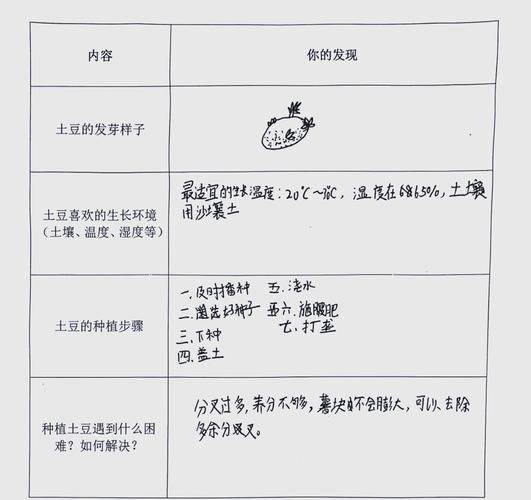 马铃薯种植技术与管理