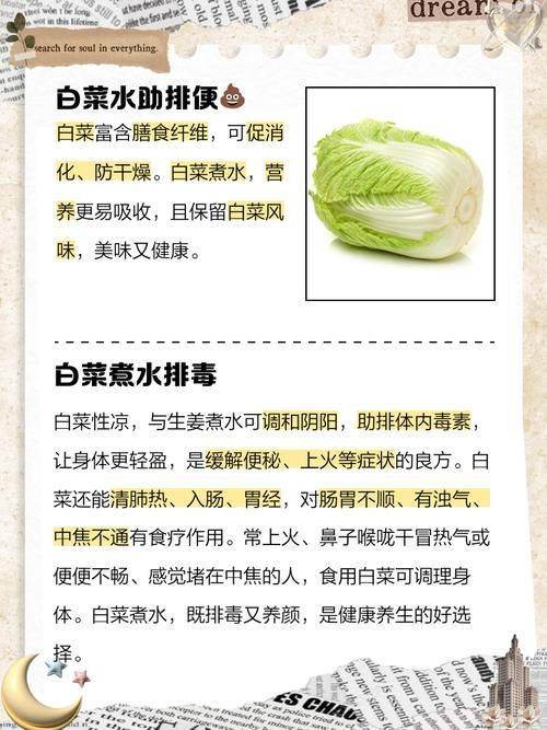 大白菜种植时间和方法