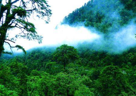 景区门票价格体系