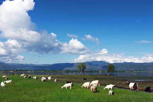 景区门票价格体系
