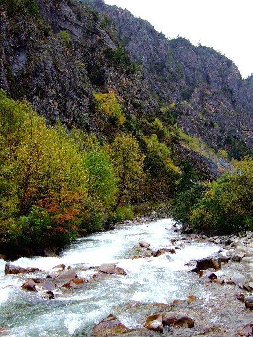 景区门票价格体系