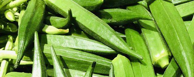 秋葵的种植方法