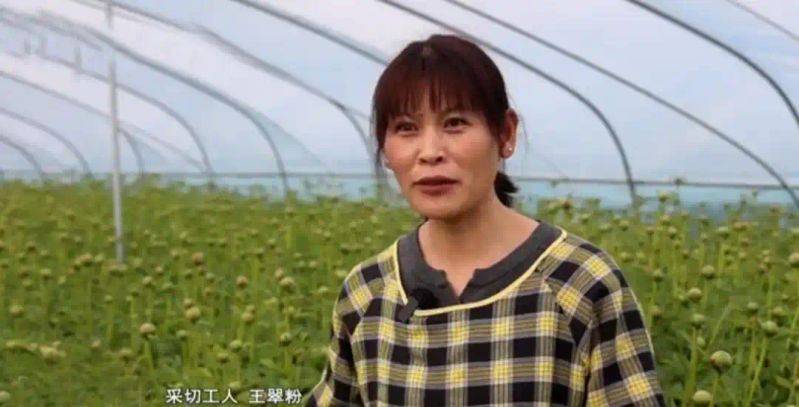 云南牡丹种植技术