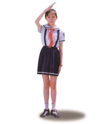 中国少先队队章知识