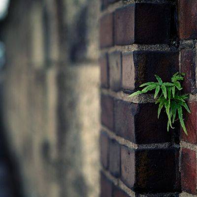 三洋液晶电视花屏维修