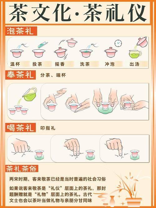 功夫泡茶的步骤视频