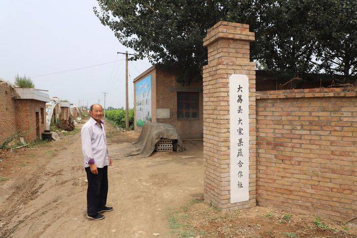 秋葵的种植方法