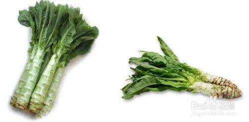 莴笋的种植技术