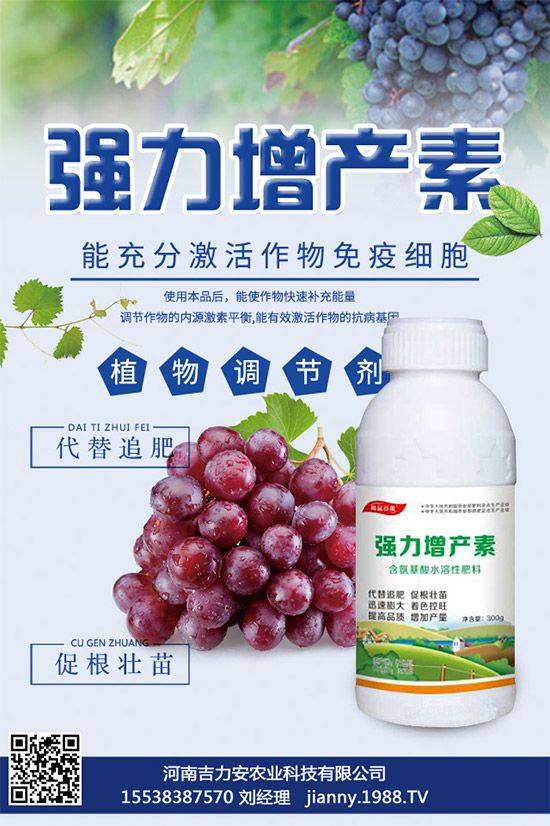 大棚种植技术视频