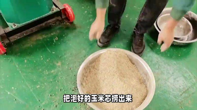 蘑菇菌种种植技术