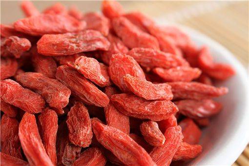 枸杞树怎么种植方法