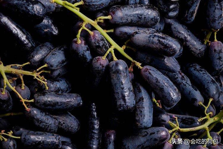 玫瑰香葡萄的种植方法