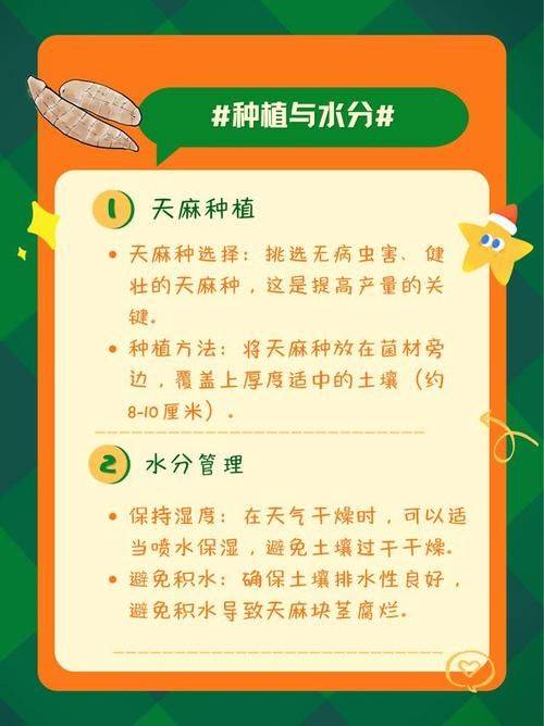 天麻种植技术 怎么种植天麻