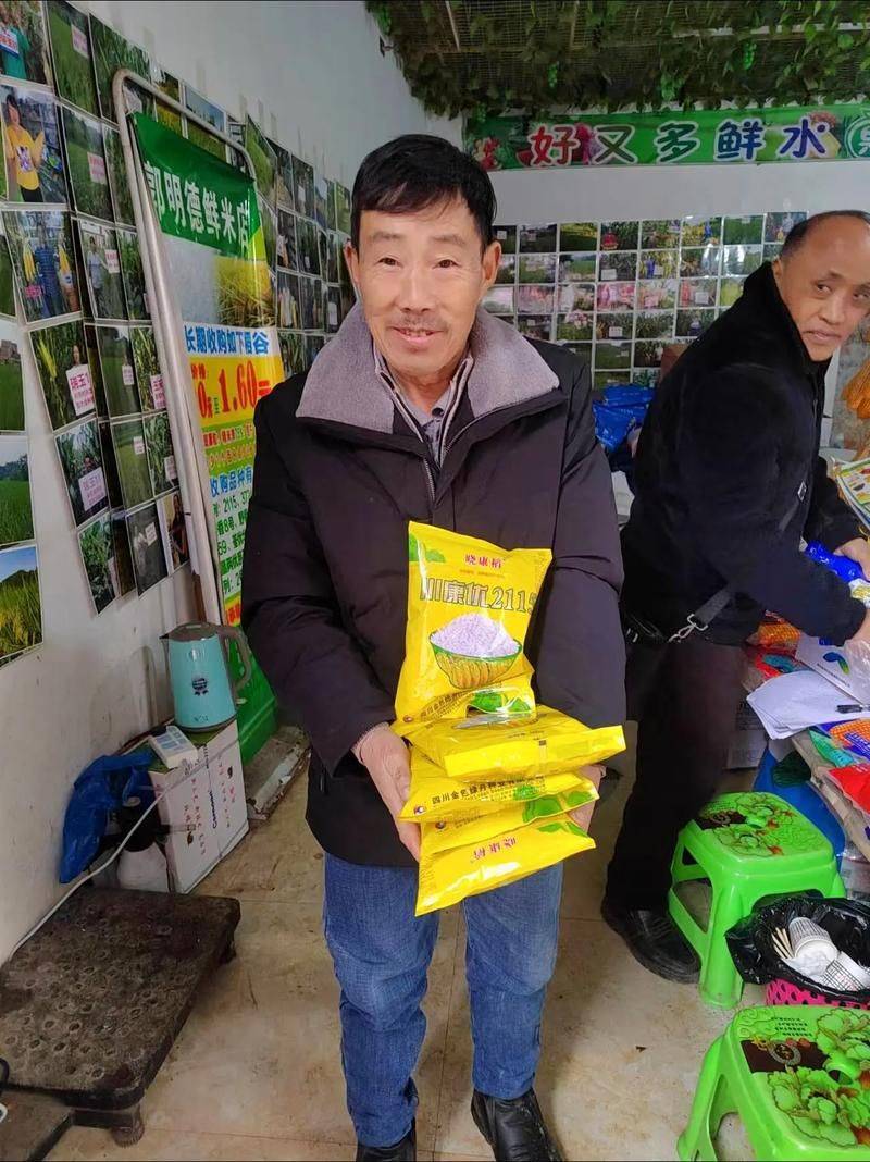 秋葵的种植方法