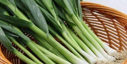 寒蒜苗种植技术