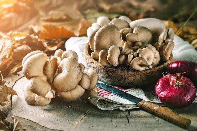 黄金菇种植方法