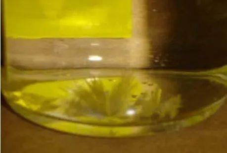 Trihydrofurans oxidation mechanism