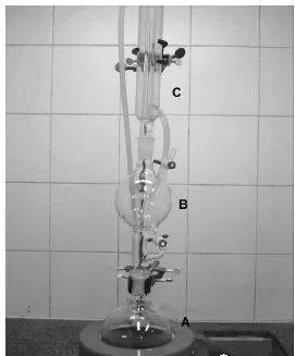 Trihydrofurans oxidation mechanism