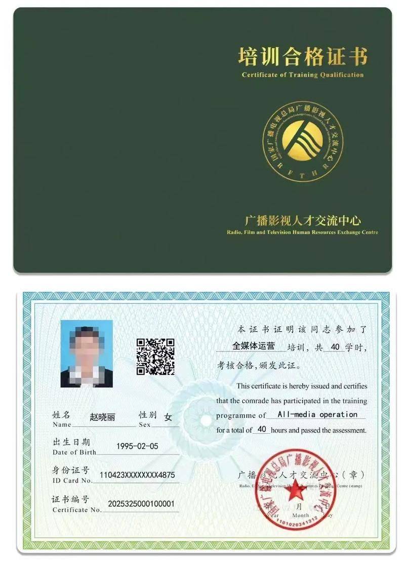 seo sem网络运营师