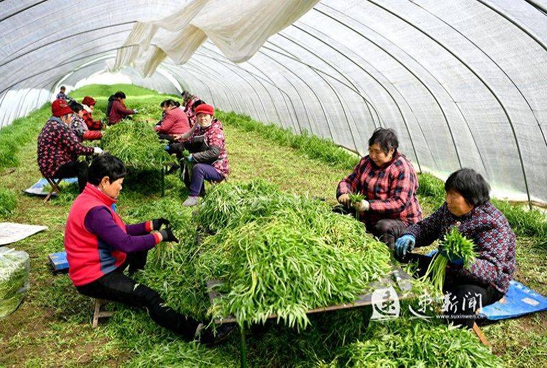 Artemisic farming methods
