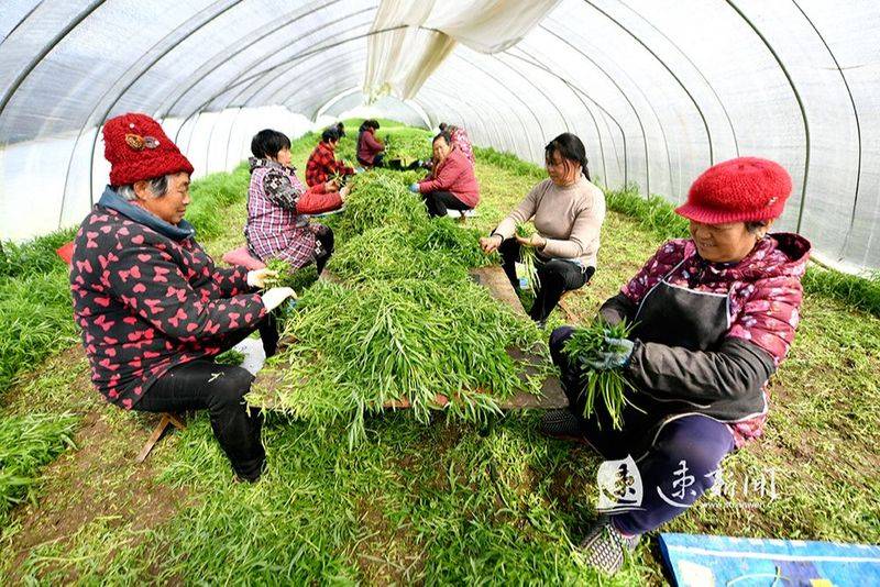 Artemisic farming methods