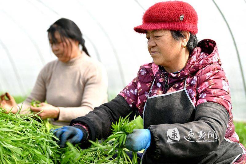 Artemisic farming methods